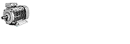 Logo SGEM